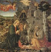 Master of the Louvre Nativity The Nativity (mk05) Spain oil painting reproduction